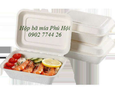 Hộp bã mía 1 ngăn nắp liền 600ml 